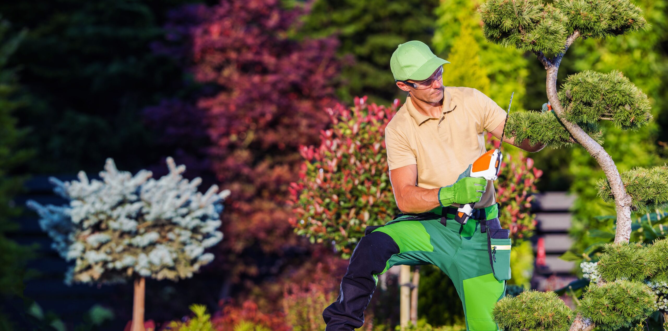 Hedge and Shrub Trimming